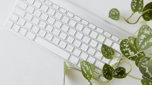 Cosa sono i report di sostenibilità